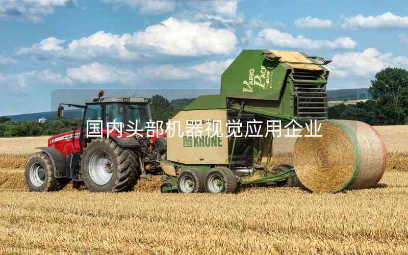 國內(nèi)頭部機器視覺應(yīng)用企業(yè)