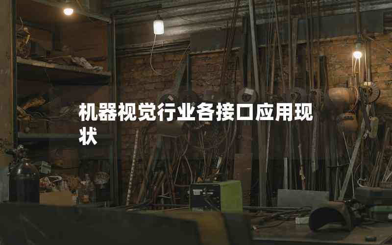 機(jī)器視覺行業(yè)各接口應(yīng)用現(xiàn)狀