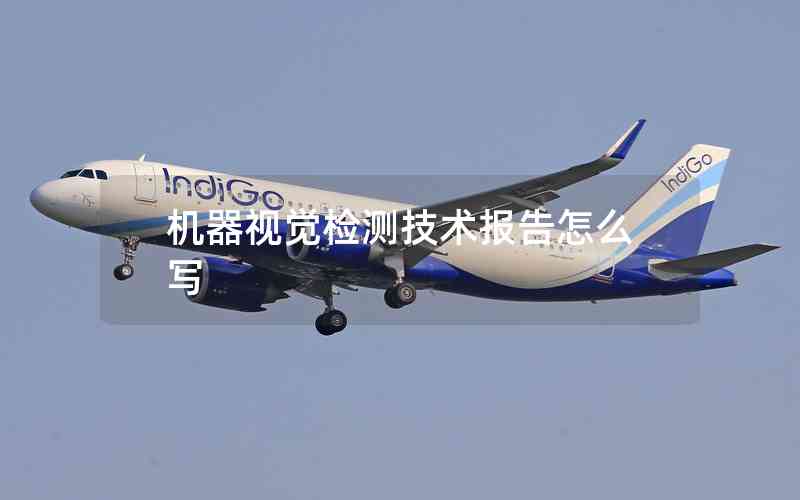 機(jī)器視覺(jué)檢測(cè)技術(shù)報(bào)告怎么寫