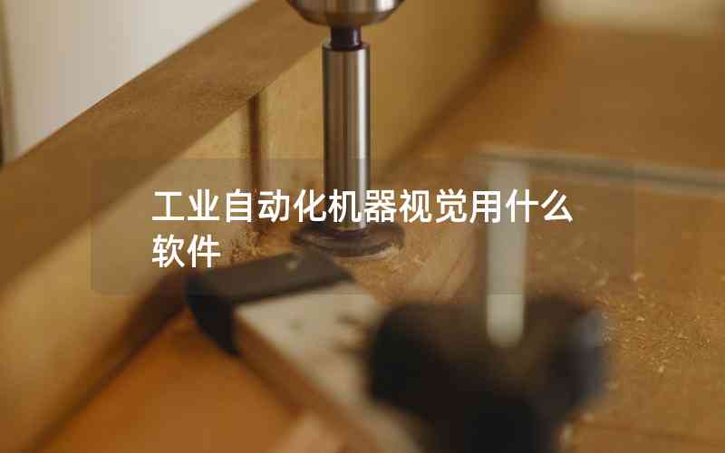 工業(yè)自動(dòng)化機(jī)器視覺(jué)用什么軟件