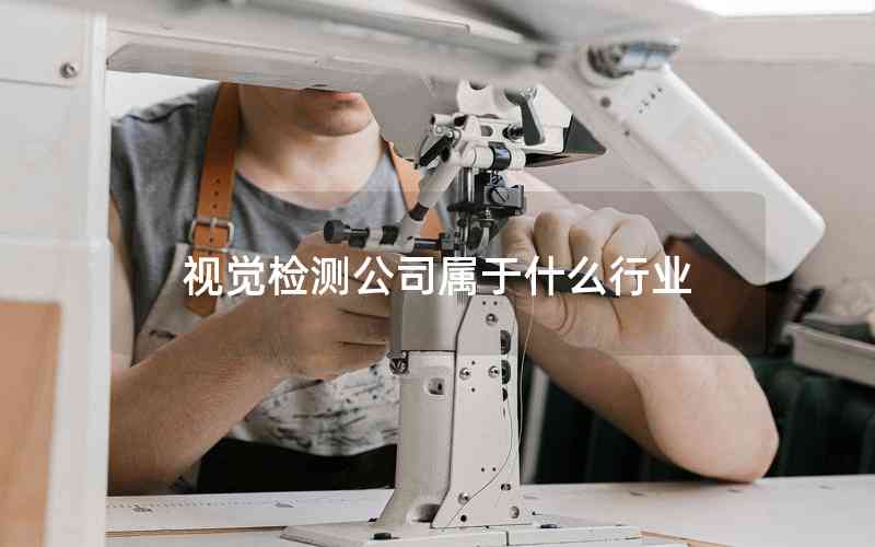 視覺檢測公司屬于什么行業(yè)