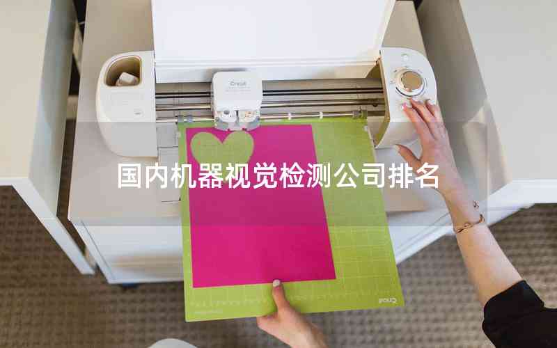 國內(nèi)機器視覺檢測公司排名