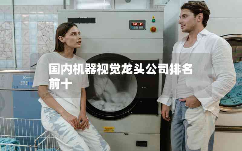 國內(nèi)機(jī)器視覺龍頭公司排名前十
