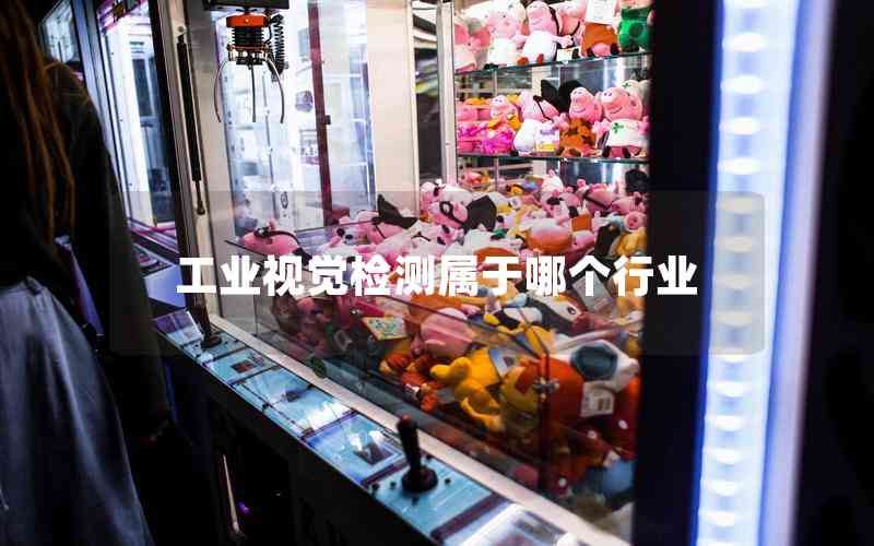 工業(yè)視覺檢測(cè)屬于哪個(gè)行業(yè)