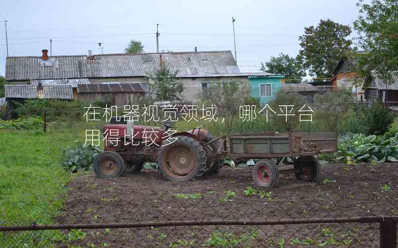 在機器視覺領(lǐng)域，哪個平臺用得比較多