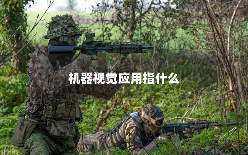 機器視覺應(yīng)用指什么