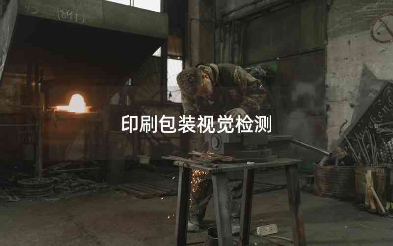 印刷包裝視覺檢測(cè)