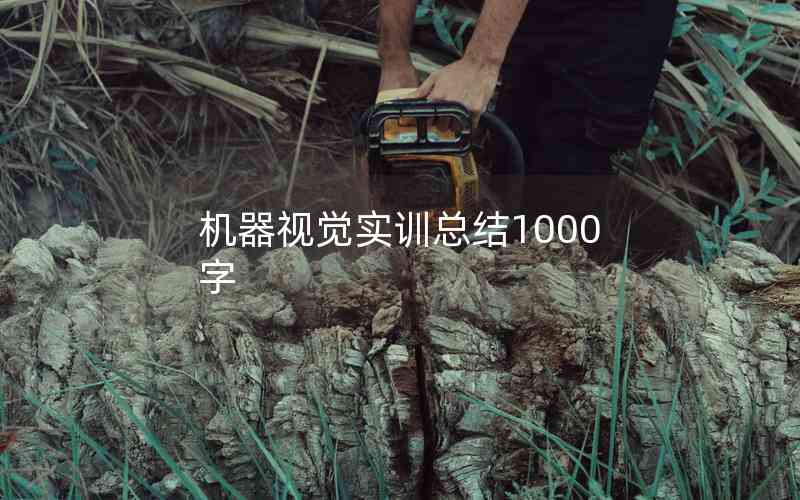 機(jī)器視覺實訓(xùn)總結(jié)1000字