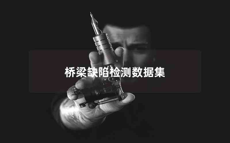 橋梁缺陷檢測(cè)數(shù)據(jù)集