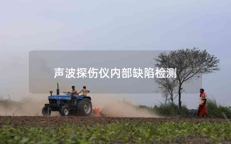 聲波探傷儀內部缺陷檢測