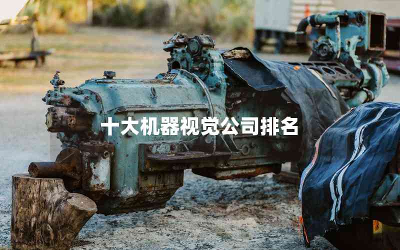 十大機器視覺公司排名