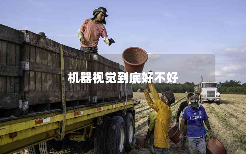 機(jī)器視覺到底好不好