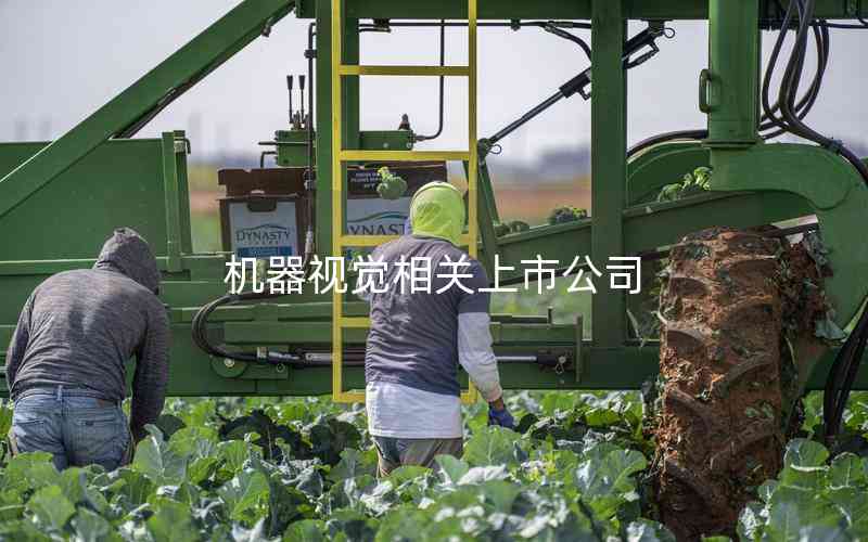 機器視覺相關上市公司