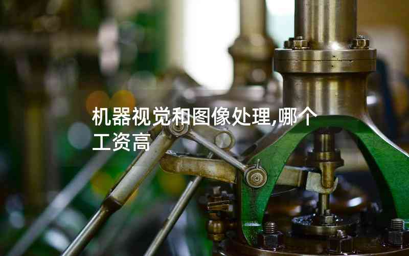 機器視覺和圖像處理,哪個工資高