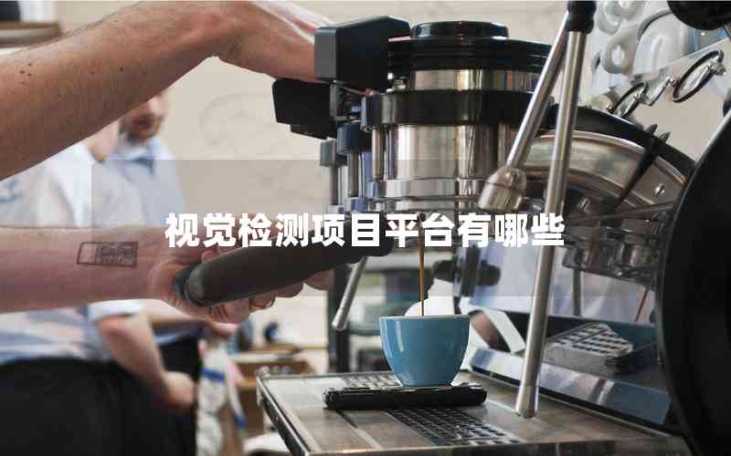 視覺(jué)檢測(cè)項(xiàng)目平臺(tái)有哪些