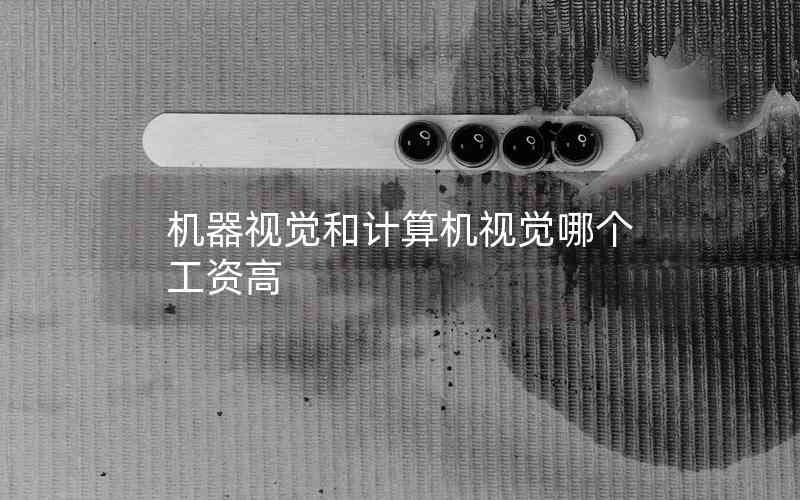 機(jī)器視覺(jué)和計(jì)算機(jī)視覺(jué)哪個(gè)工資高
