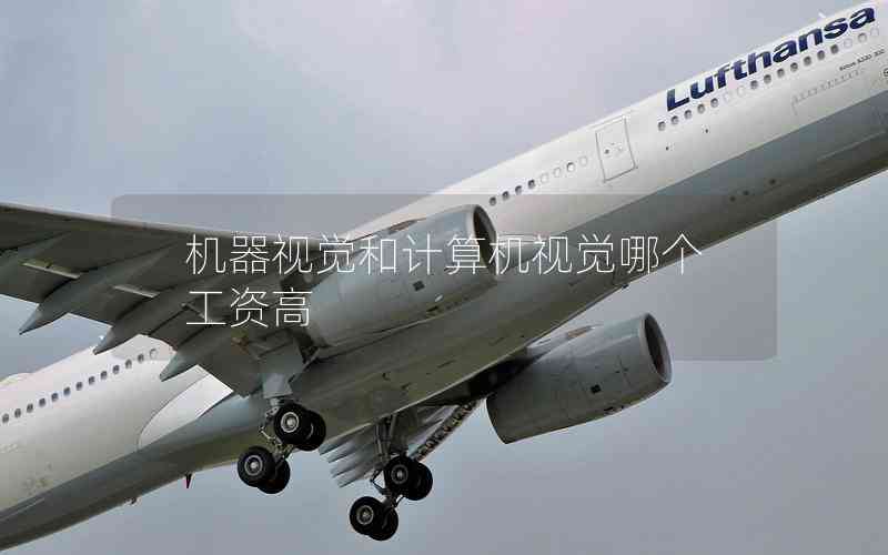 機(jī)器視覺(jué)和計(jì)算機(jī)視覺(jué)哪個(gè)工資高