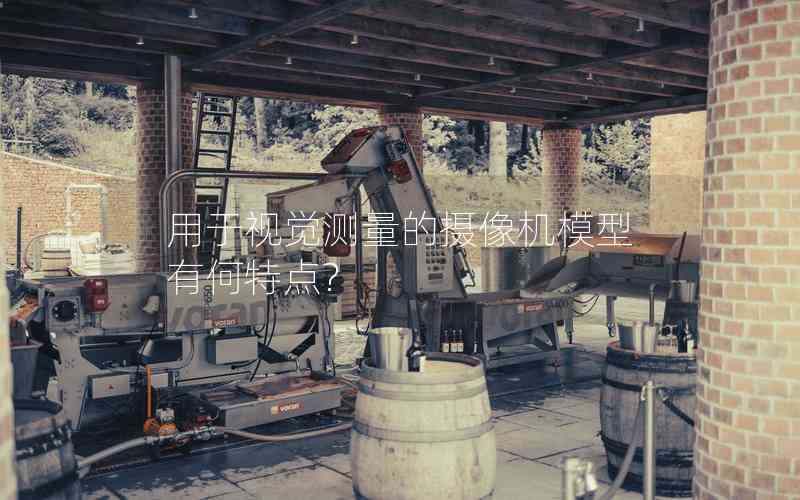 用于視覺測量的攝像機模型有何特點?