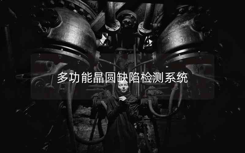 多功能晶圓缺陷檢測(cè)系統(tǒng)