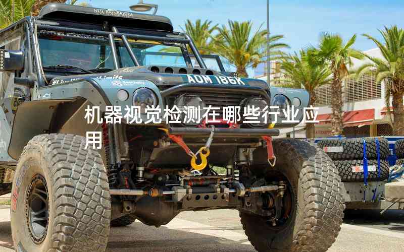 機(jī)器視覺檢測在哪些行業(yè)應(yīng)用