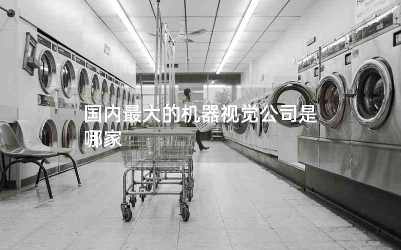 國內(nèi)最大的機(jī)器視覺公司是哪家