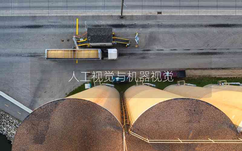 人工視覺(jué)與機(jī)器視覺(jué)