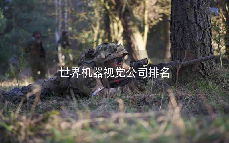 世界機(jī)器視覺公司排名