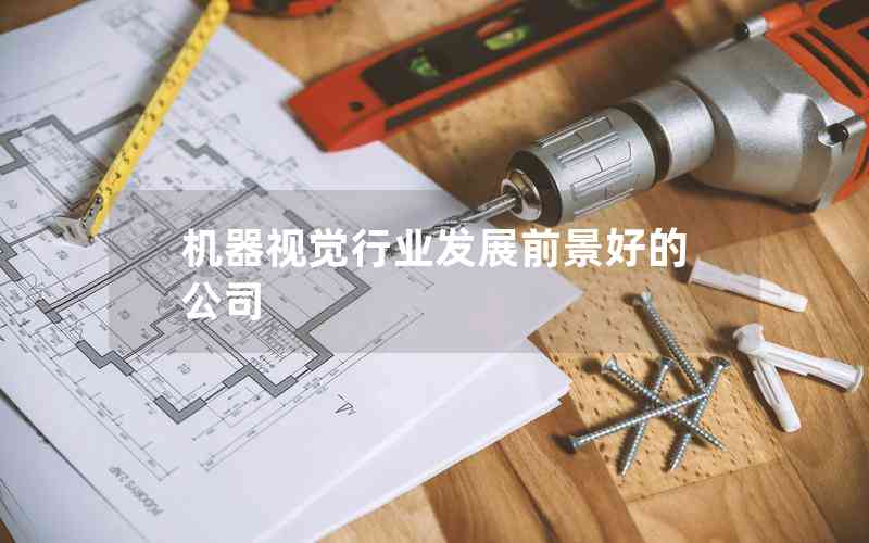 機(jī)器視覺(jué)行業(yè)發(fā)展前景好的公司