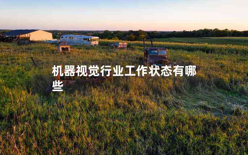 機器視覺行業(yè)工作狀態(tài)有哪些