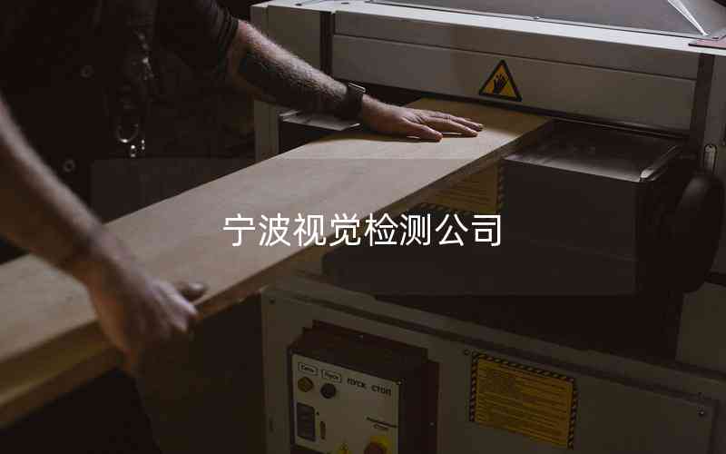 寧波視覺檢測(cè)公司