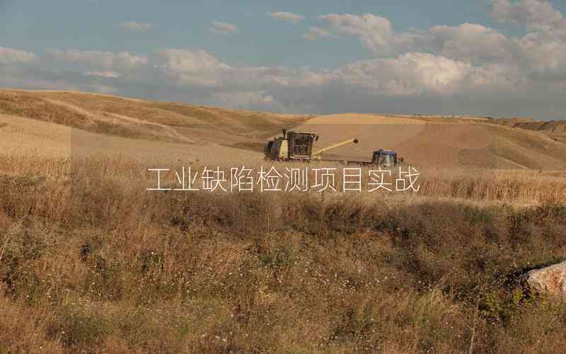 工業(yè)缺陷檢測項(xiàng)目實(shí)戰(zhàn)