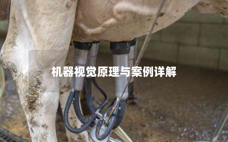 機(jī)器視覺原理與案例詳解