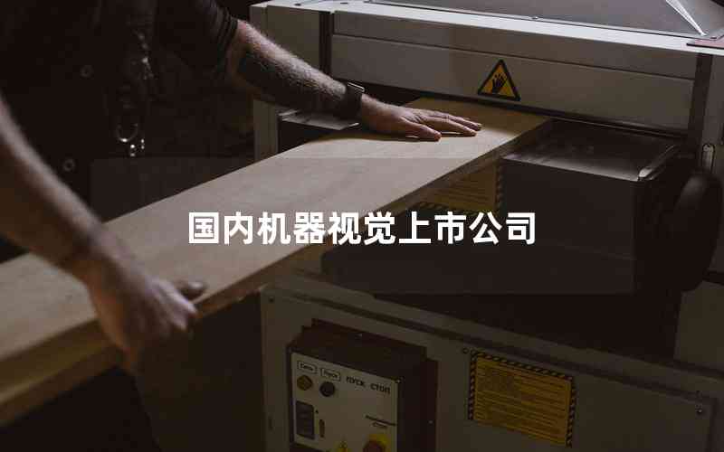國(guó)內(nèi)機(jī)器視覺(jué)上市公司