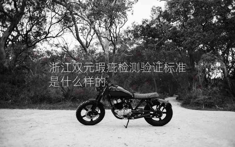 浙江雙元瑕疵檢測驗證標準是什么樣的