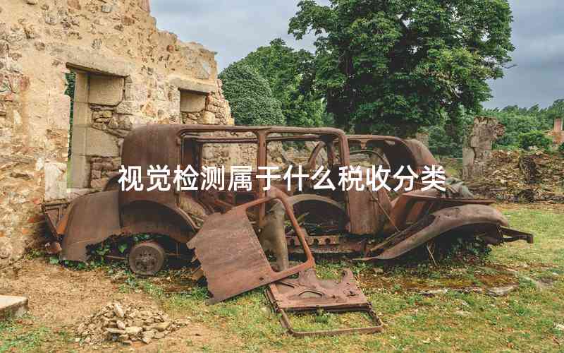 視覺檢測(cè)屬于什么稅收分類