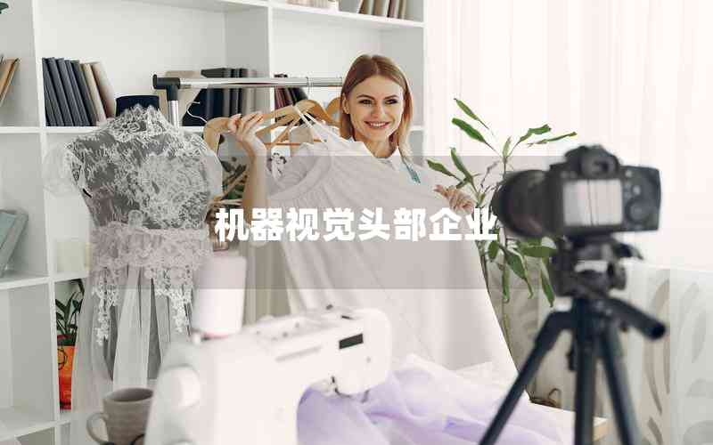 機器視覺頭部企業(yè)