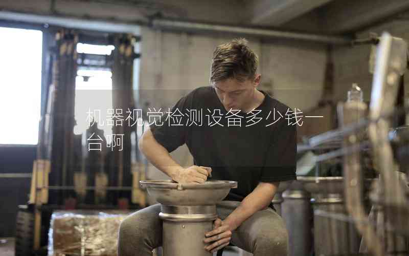 機(jī)器視覺(jué)檢測(cè)設(shè)備多少錢一臺(tái)啊