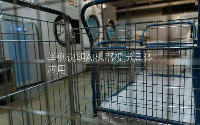 舉例說明AI機器視覺具體應用