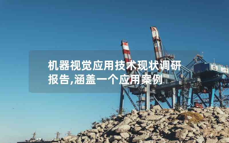 機(jī)器視覺應(yīng)用技術(shù)現(xiàn)狀調(diào)研報告,涵蓋一個應(yīng)用案例