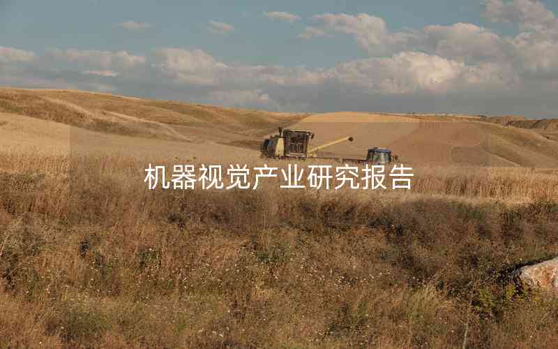 機(jī)器視覺產(chǎn)業(yè)研究報(bào)告