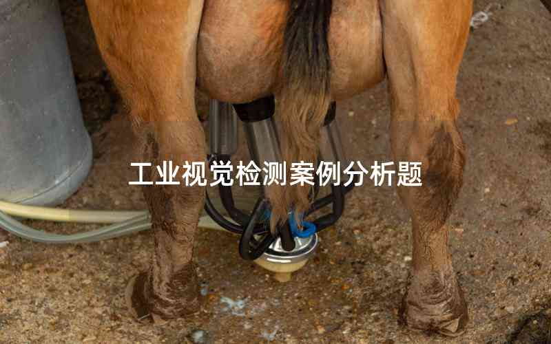 工業(yè)視覺(jué)檢測(cè)案例分析題