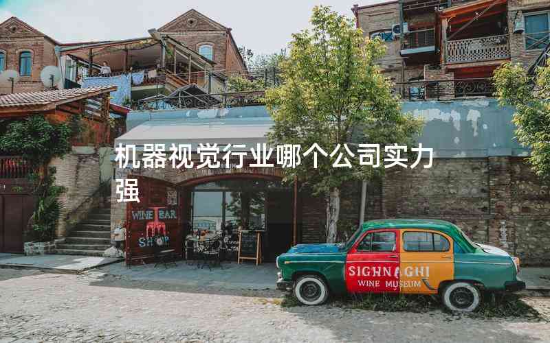 機(jī)器視覺行業(yè)哪個公司實(shí)力強(qiáng)