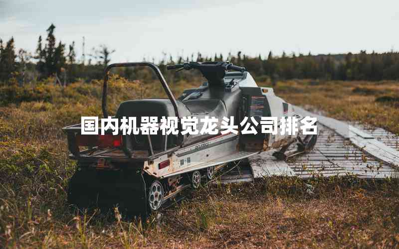 國內(nèi)機(jī)器視覺龍頭公司排名