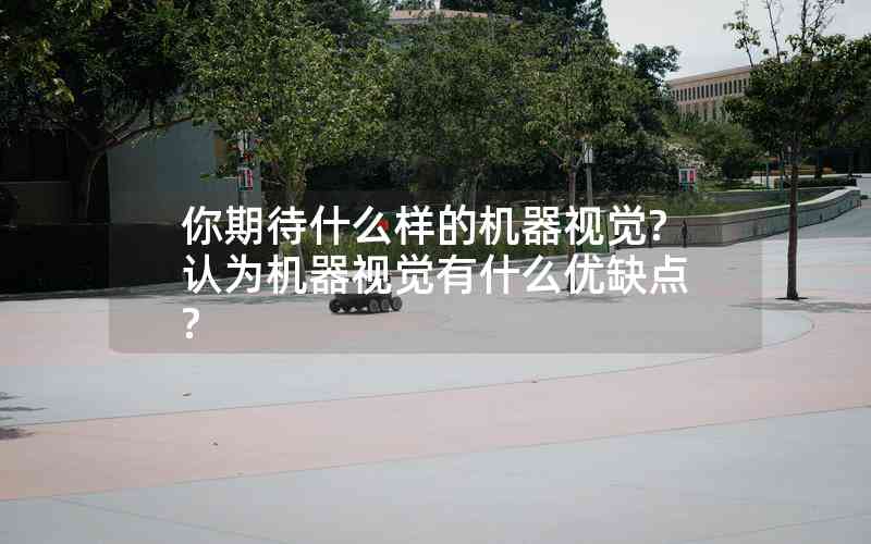 你期待什么樣的機(jī)器視覺?認(rèn)為機(jī)器視覺有什么優(yōu)缺點?