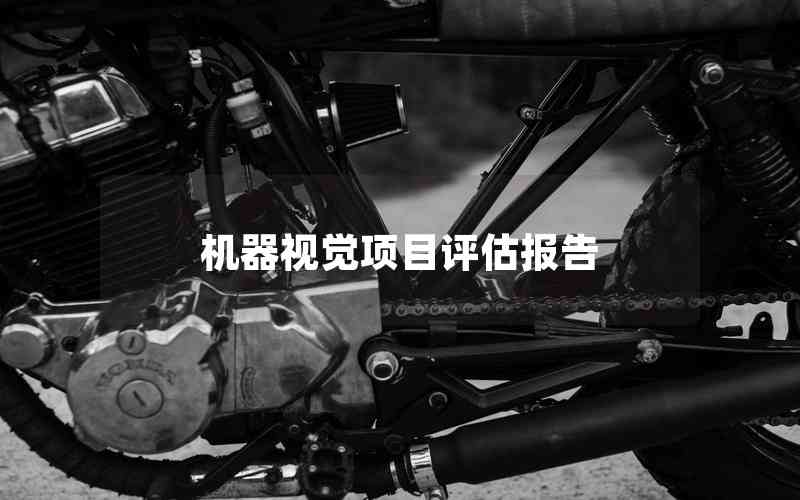 機(jī)器視覺項(xiàng)目評(píng)估報(bào)告