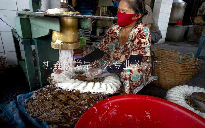 機(jī)器視覺是什么專業(yè)的方向