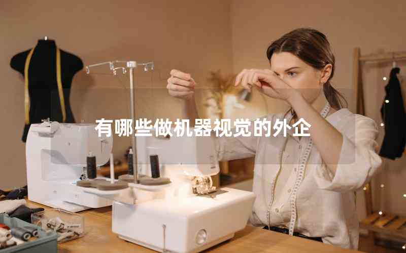 有哪些做機(jī)器視覺(jué)的外企