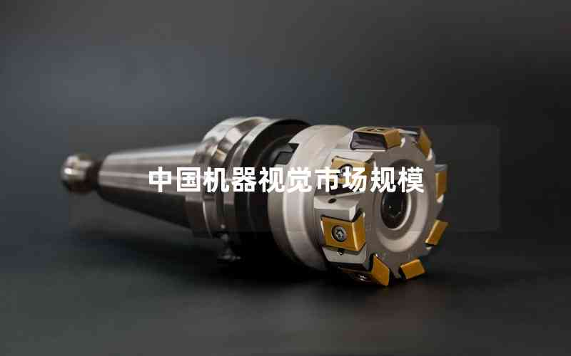 中國機器視覺市場規(guī)模