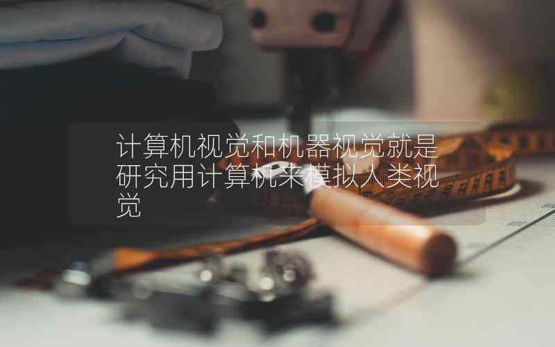 計算機(jī)視覺和機(jī)器視覺就是研究用計算機(jī)來模擬人類視覺