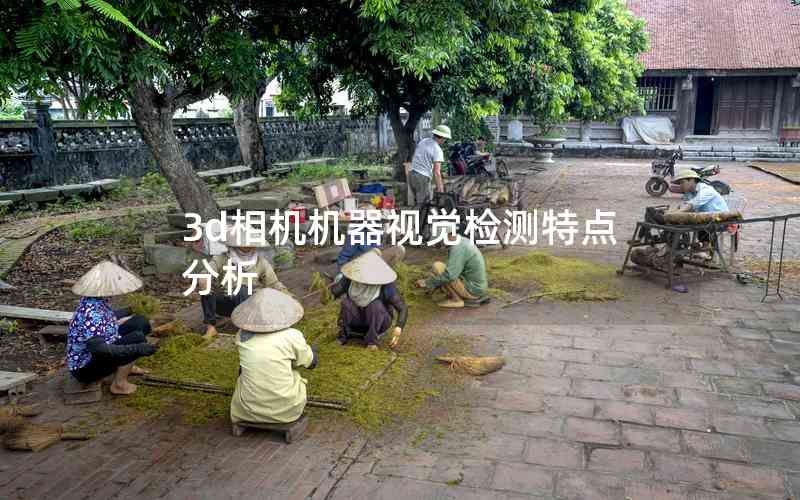 3d相機(jī)機(jī)器視覺檢測(cè)特點(diǎn)分析